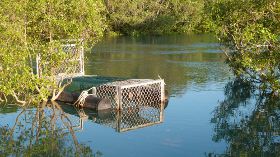 Crocodile trap in Rapid Creek