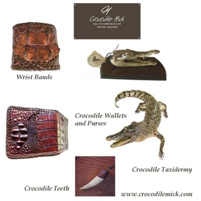 Crocodile Darwin, Crocodile Leather Products, Taxidermy